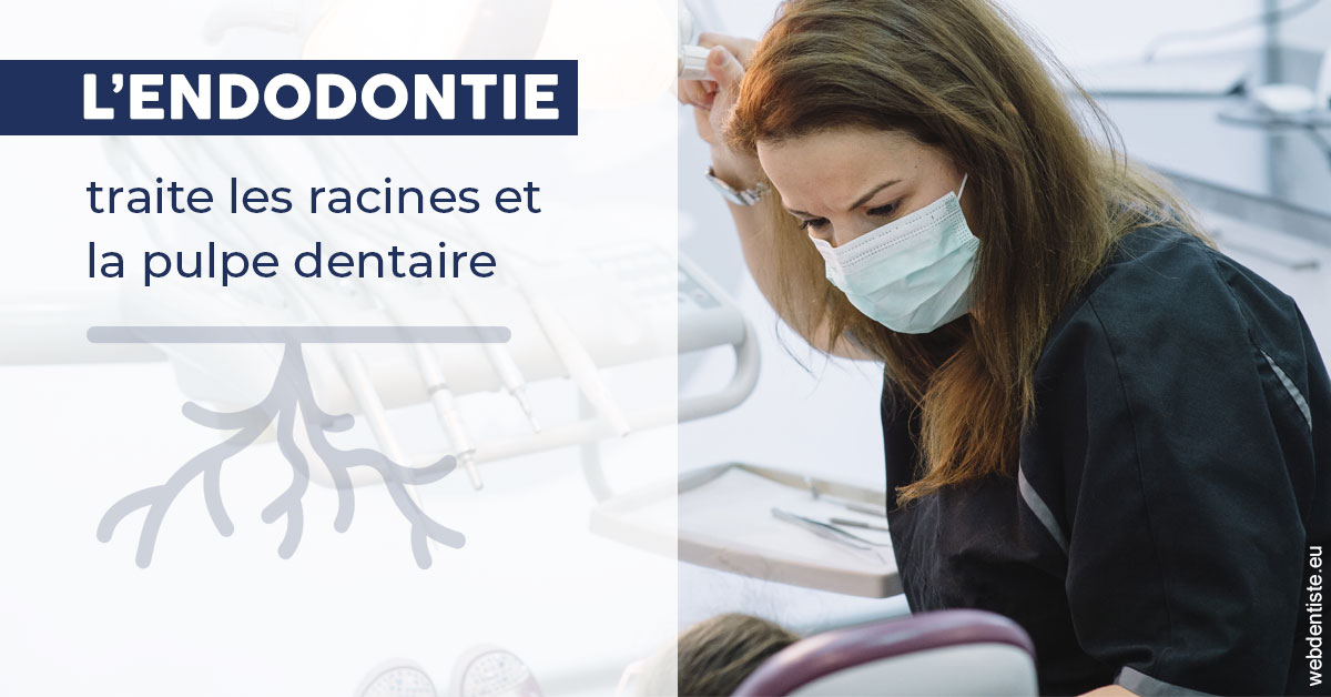 https://dr-bruno-lasfargue.chirurgiens-dentistes.fr/L'endodontie 1