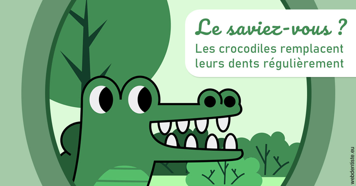 https://dr-bruno-lasfargue.chirurgiens-dentistes.fr/Crocodiles 2