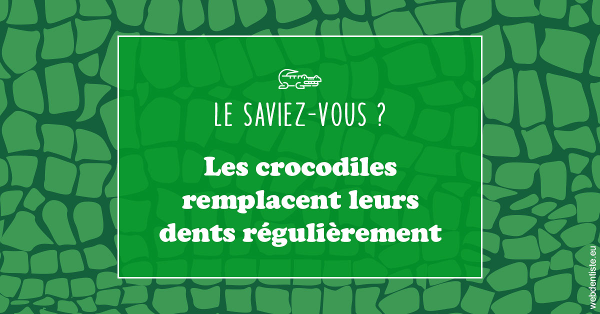 https://dr-bruno-lasfargue.chirurgiens-dentistes.fr/Crocodiles 1