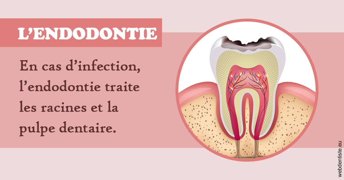 https://dr-bruno-lasfargue.chirurgiens-dentistes.fr/L'endodontie 2